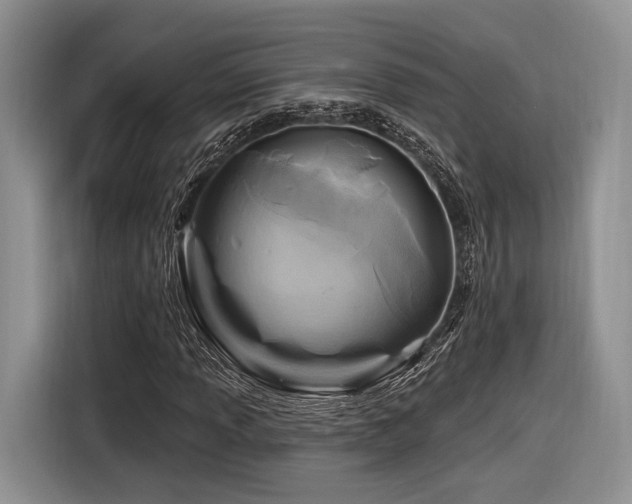 X0000116891013200912221449