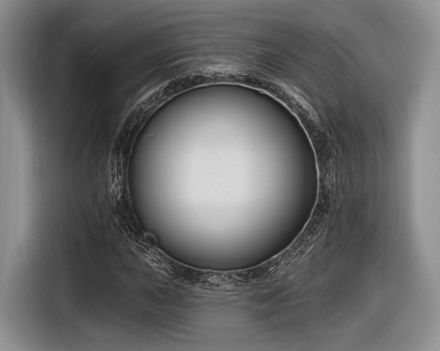 X0000116891015200912221449