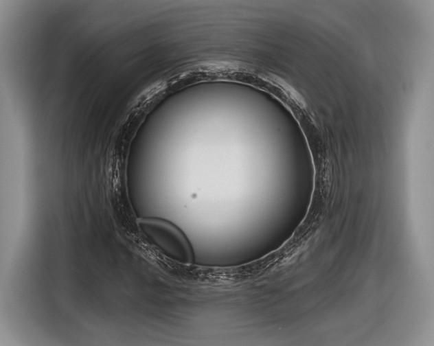 X0000116891016200912221449