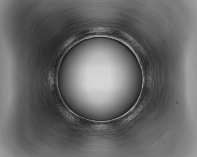 X0000116891017200912221449