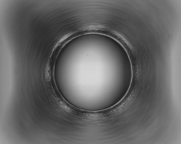 X0000116891018200912221449