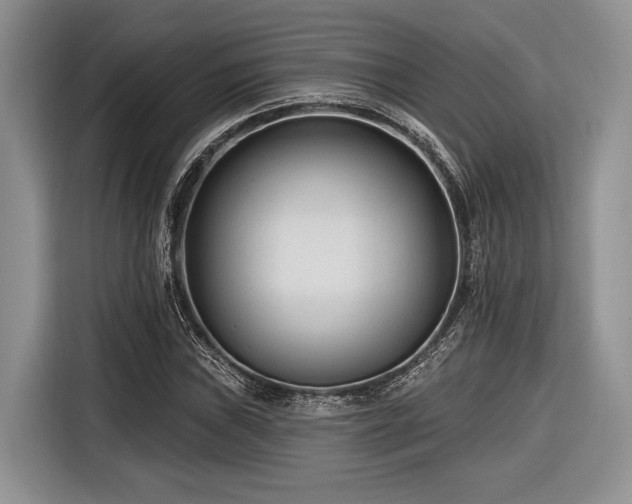 X0000116891019200912221449