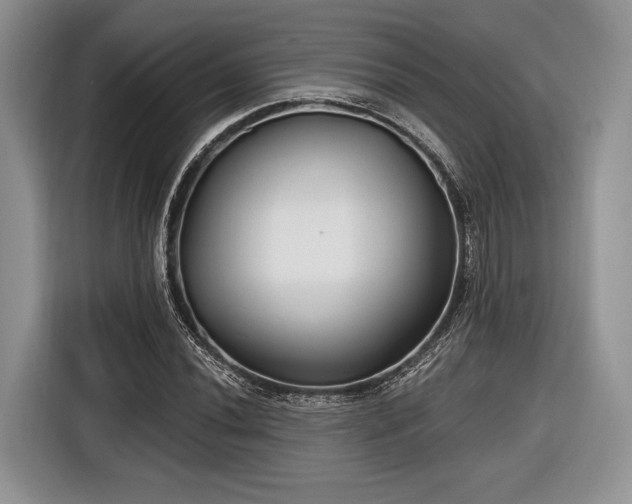 X0000116891020200912221449