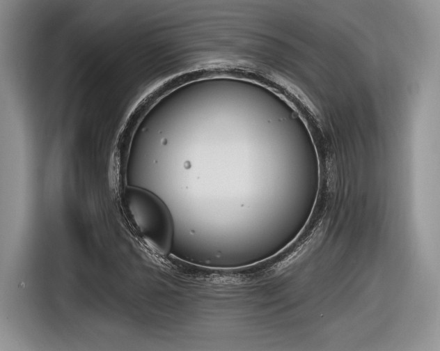 X0000116891021200912221449