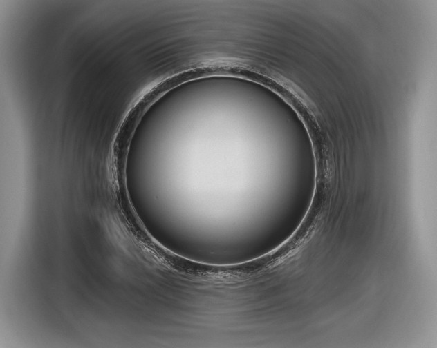 X0000116891022200912221449
