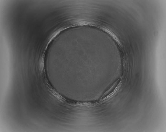 X0000116891023200912221449