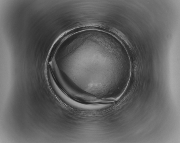 X0000116891024200912221449