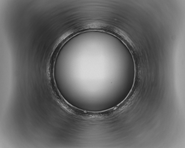 X0000116891026200912221449
