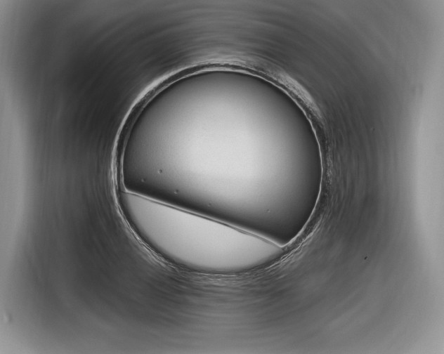X0000116891028200912221449