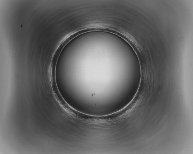 X0000116891030200912221449
