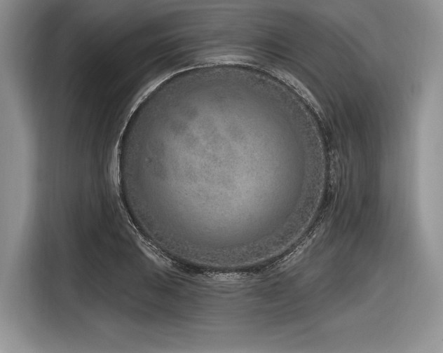 X0000116891031200912221449