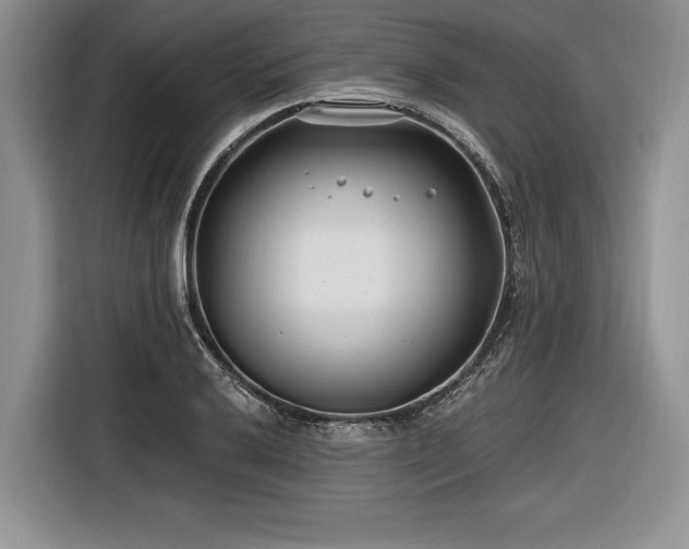 X0000116891032200912221449