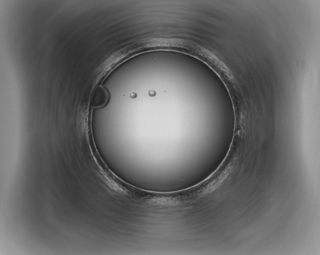 X0000116891033200912221449