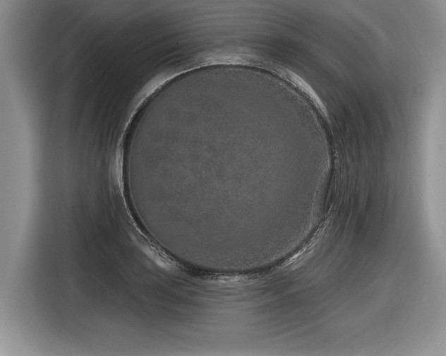 X0000116891035200912221449