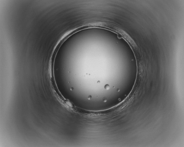 X0000116891036200912221449