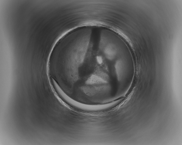 X0000116891037200912221449