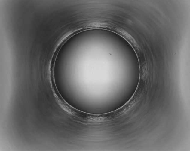 X0000116891039200912221449