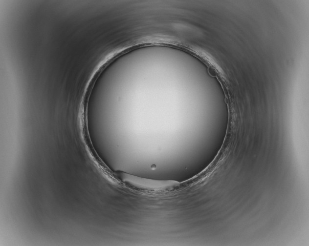 X0000116891040200912221449