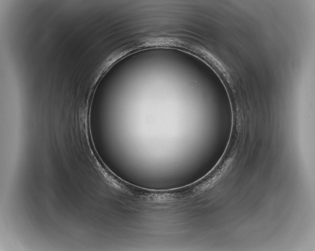 X0000116891041200912221449