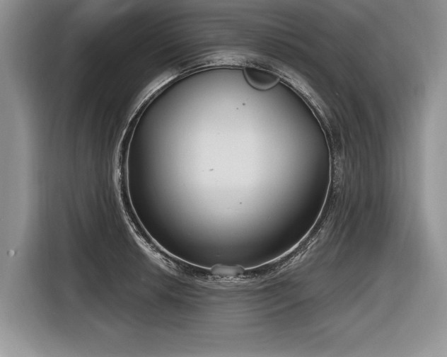 X0000116891042200912221449