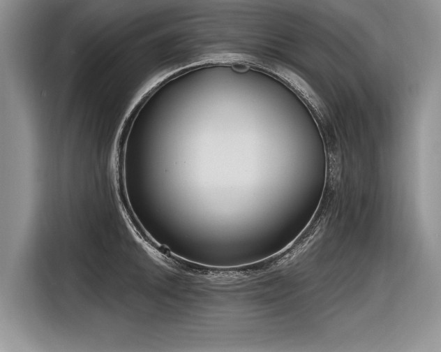 X0000116891046200912221449