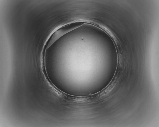 X0000116891048200912221449