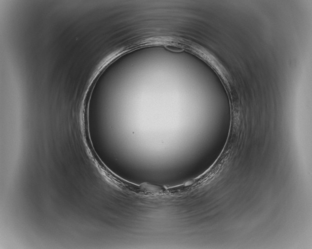 X0000116891050200912221449