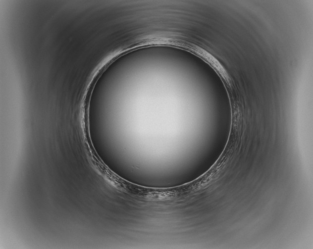 X0000116891051200912221449