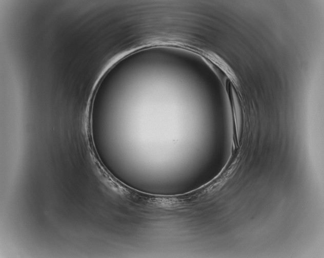 X0000116891052200912221449