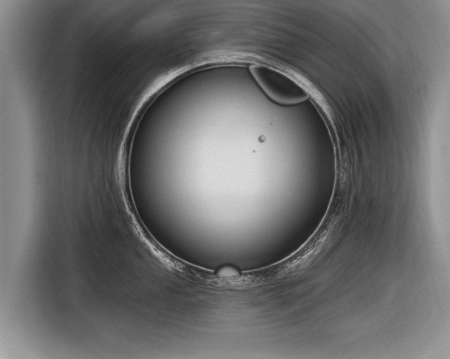 X0000116891053200912221449