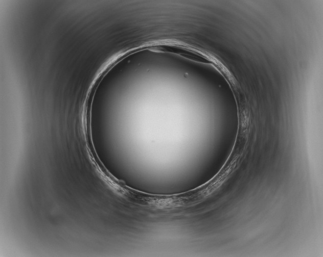 X0000116891054200912221449