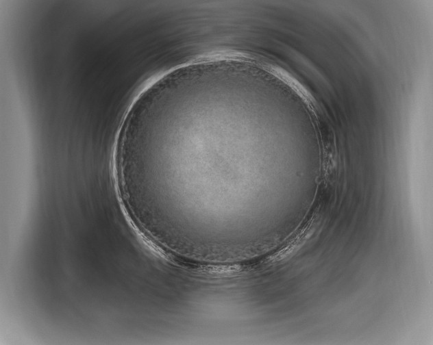 X0000116891055200912221449