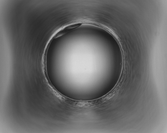 X0000116891056200912221449