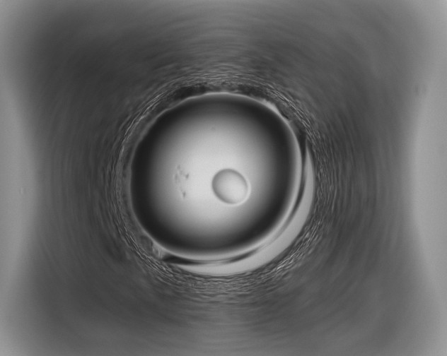 X0000116891057200912221449