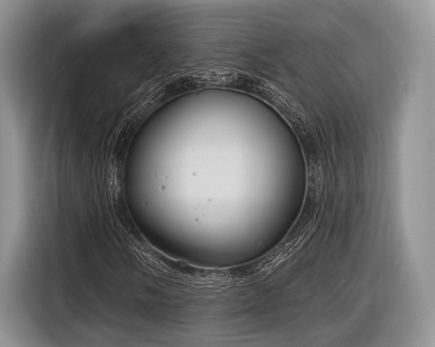 X0000116891058200912221449