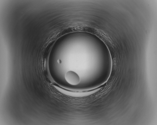 X0000116891060200912221449