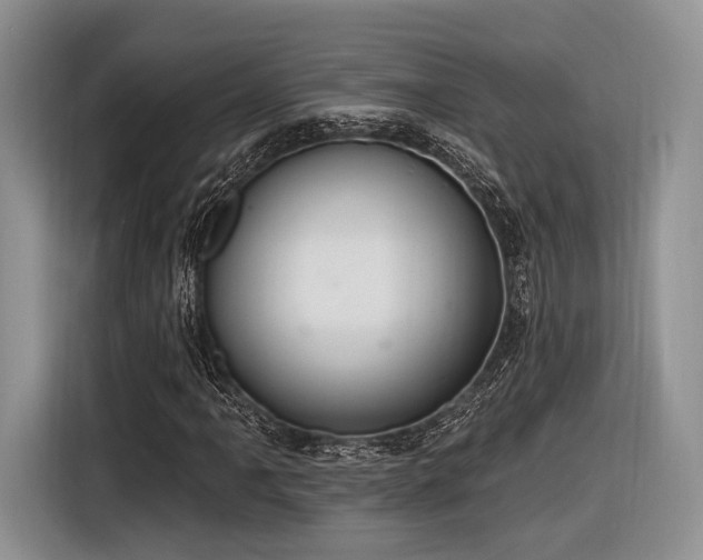 X0000116891061200912221449