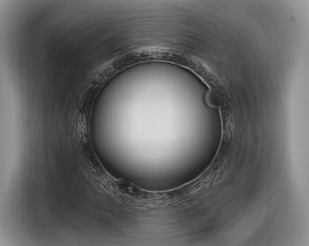 X0000116891062200912221449