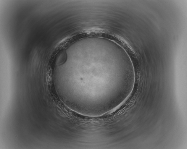 X0000116891063200912221449