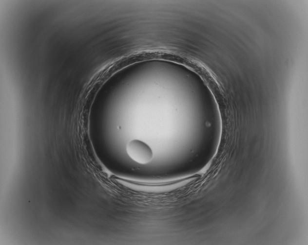 X0000116891064200912221449