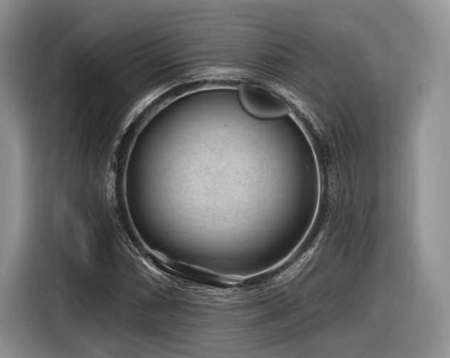 X0000116891066200912221449