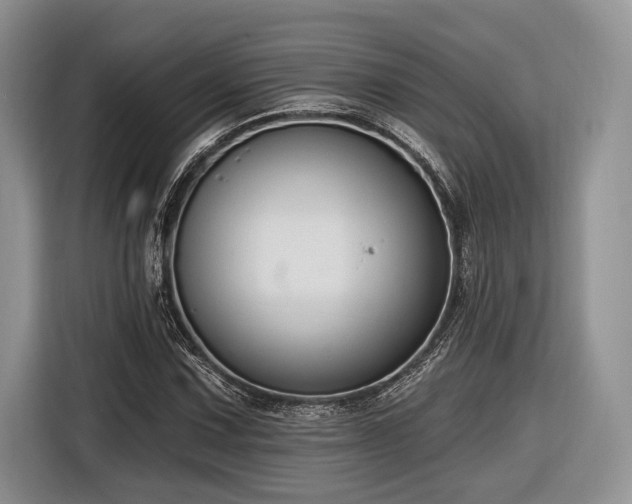 X0000116891067200912221449