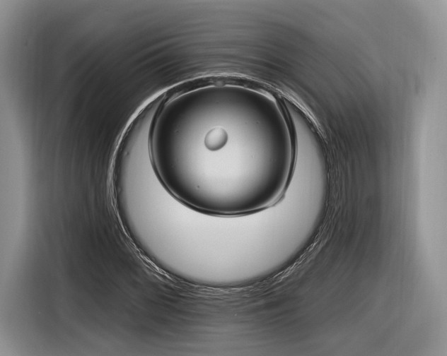 X0000116891068200912221449