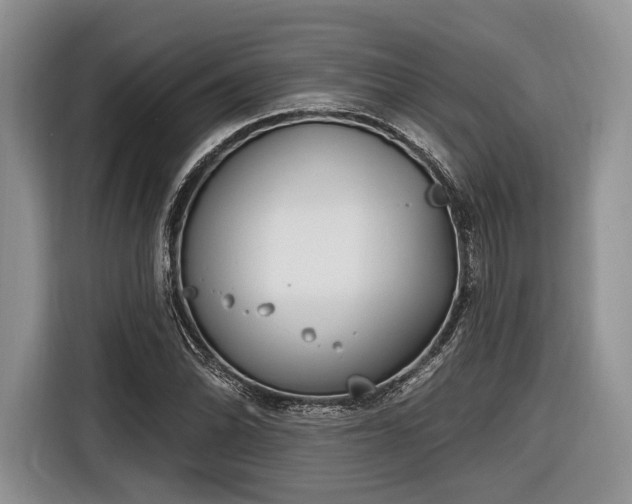 X0000116891070200912221449