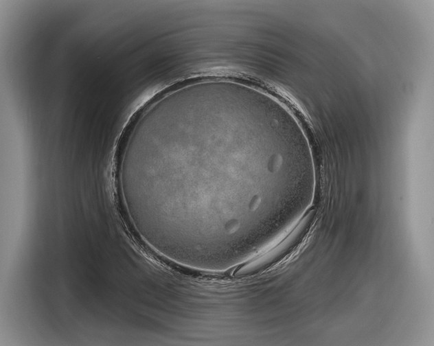 X0000116891071200912221449