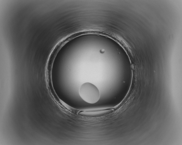 X0000116891072200912221449
