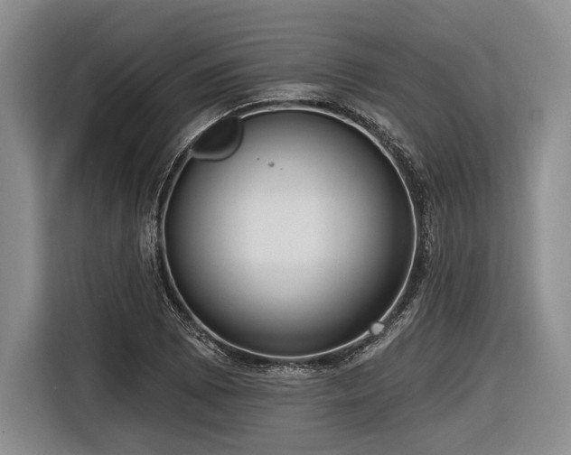 X0000116891073200912221449