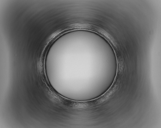 X0000116891074200912221449