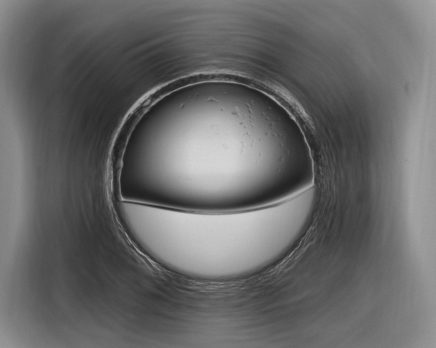X0000116891076200912221449
