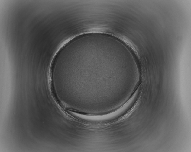 X0000116891077200912221449